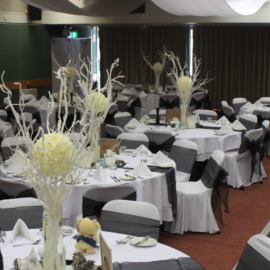 chair covers